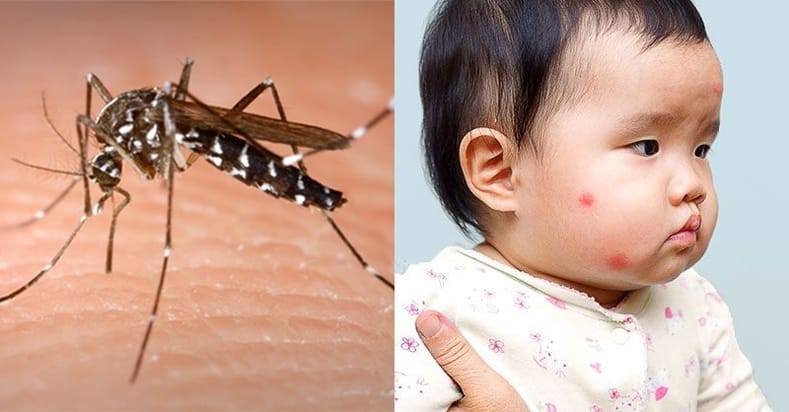 Chống muỗi đốt cho trẻ sơ sinh