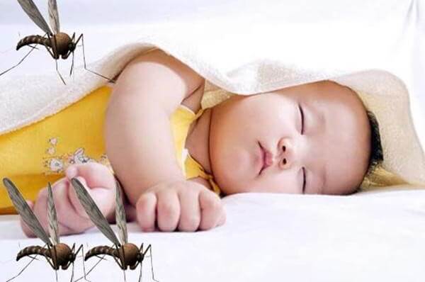 Cách đuổi muỗi an toàn cho trẻ sơ sinh
