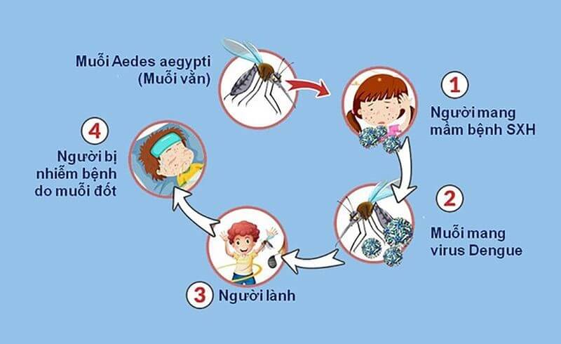 Muỗi đốt bao lâu thì bị sốt xuất huyết
