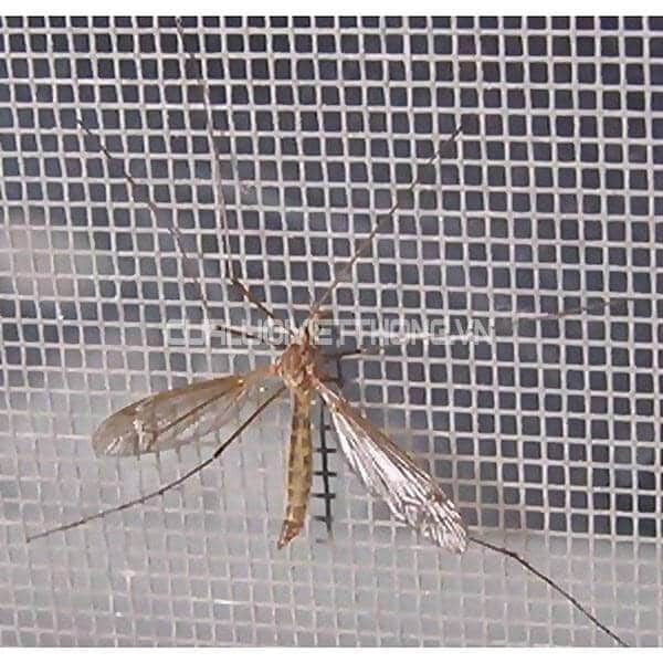 Lưới chống muỗi sợi inox 304