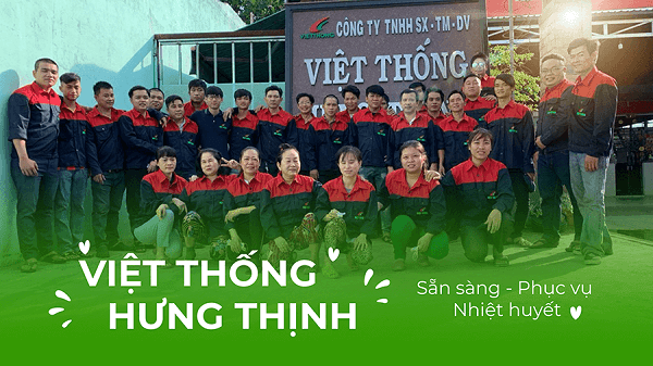 Đội ngũ nhân sự Việt Thống – chuyên tư vấn, cung cấp các loại lưới và cửa lưới