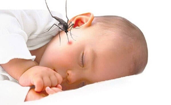 Cách chống côn trùng cắn cho bé bằng phương pháp hiệu quả