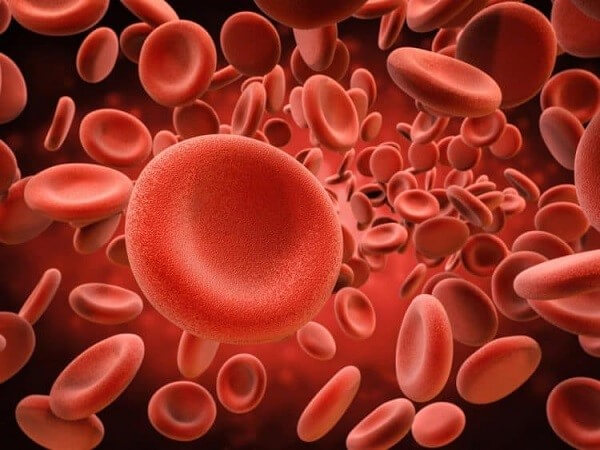 Nhóm máu là nguyên nhân khiến bạn bị muỗi tấn công nhiều hay ít