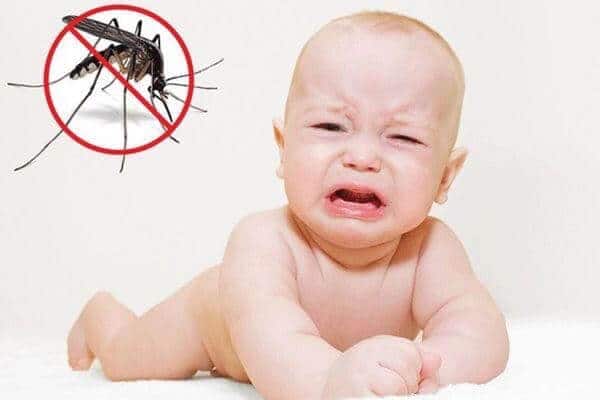 Khi phát hiện vết cắn côn trùng sưng cứng, sưng mủ ở trẻ nhỏ bạn nên làm gì?