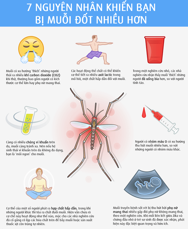 Những nguyên nhân khiến trẻ thường xuyên bị muỗi tấn công